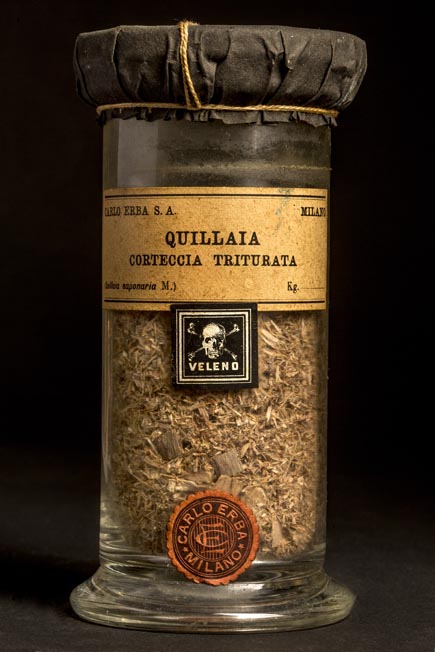 QUILLAIA - corteccia triturata
